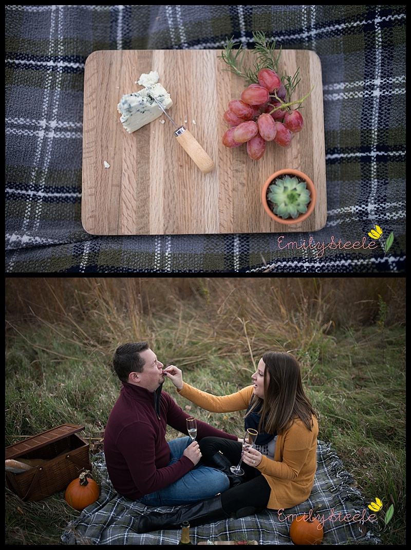 Picnic engagement session at Overlook Park at Clinton Lake